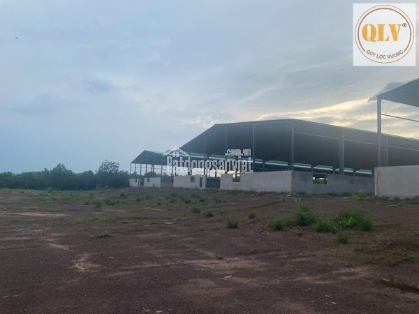 BÁN NHÀ XƯỞNG – AN THÁI , PHÚ GIÁO, BÌNH DƯƠNG – 31.952m²