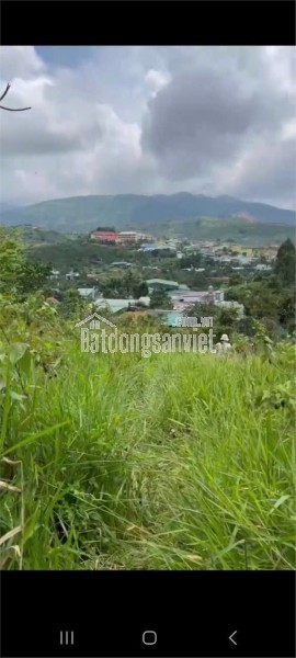 ĐẤT ĐẸP – GIÁ TỐT – CHÍNH CHỦ CẦN BÁN LÔ ĐẤT ĐỒI Tại Xã Đại Lào, TP. Bảo Lộc, Tỉnh Lâm Đồng