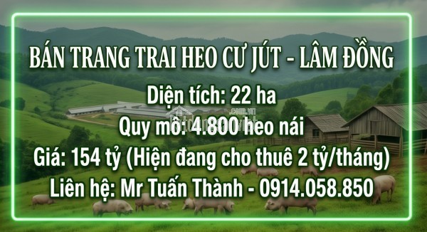 Siêu Trang Trại Heo 22ha - Thu Nhập cho thuê 24 Tỷ/Năm