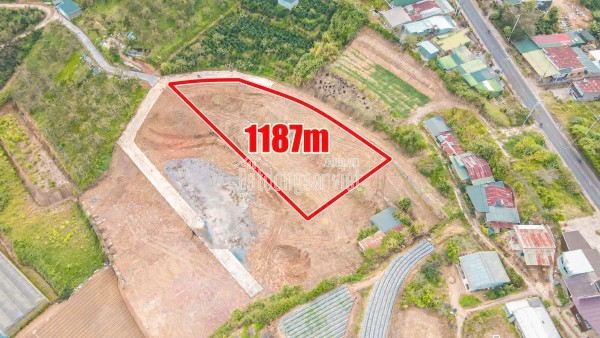 BÁN LÔ ĐẤT VIEW RỪNG THÔNG XUÂN THỌ -  PHƯỜNG XUÂN TRƯỜNG, ĐÀ LẠT