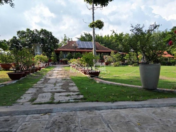 AX10 [  TỌA ĐỘ KIM CƯƠNG] MẶT TIỀN HÀ THỊ ĐÁT TÂN PHÚ – 600m2 (20m x 30m)