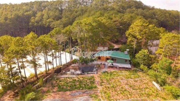 ĐẤT NGHỈ DƯỠNG – VIEW RỪNG THÔNG –CẦN BÁN KHU ĐẤT ĐẸP TẠI VẠN THÀNH, P.CAM LY, TP. ĐÀ LẠT, Lâm Đồng