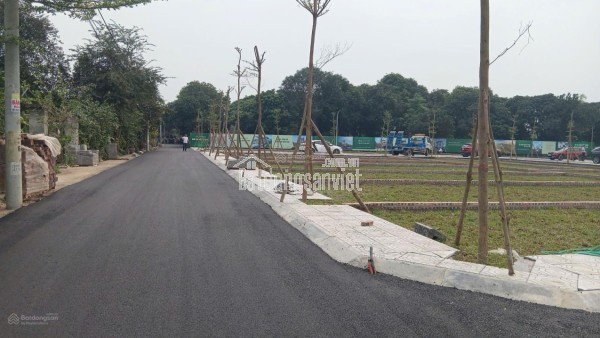 BÁN ĐẤT THẠCH HOÀ PHÚ CÁT 100M, MT 6,2M,, HOÀ LẠC - FULL THỔ CƯ -