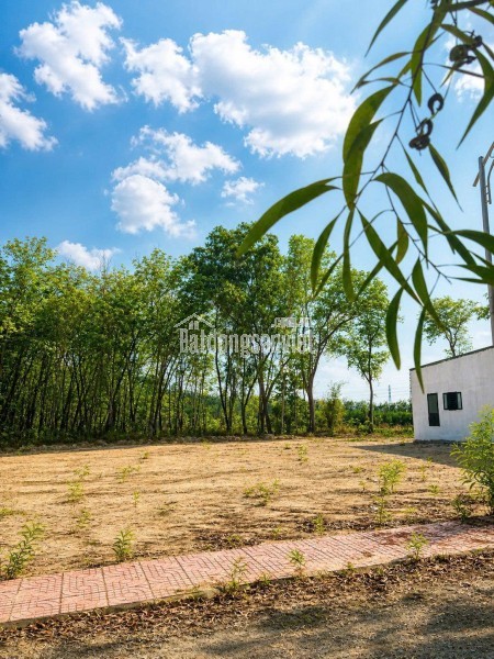 LÔ ĐẤT ĐẸP – GIÁ TỐT TẠI CHƠN THÀNH Tùng