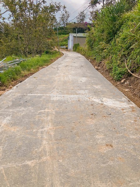 CẦN BÁN GẤP ĐẤT XUÂN THỌ – ĐÀ LẠT