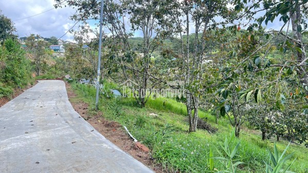 CẦN BÁN GẤP ĐẤT XUÂN THỌ – ĐÀ LẠT