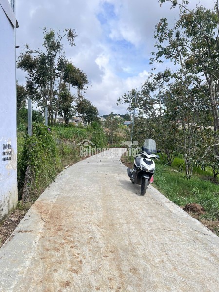 CẦN BÁN GẤP ĐẤT XUÂN THỌ – ĐÀ LẠT