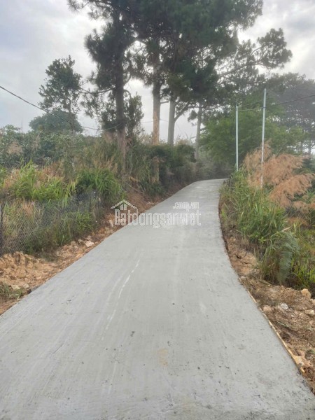 CẦN BÁN GẤP ĐẤT XUÂN THỌ – ĐÀ LẠT