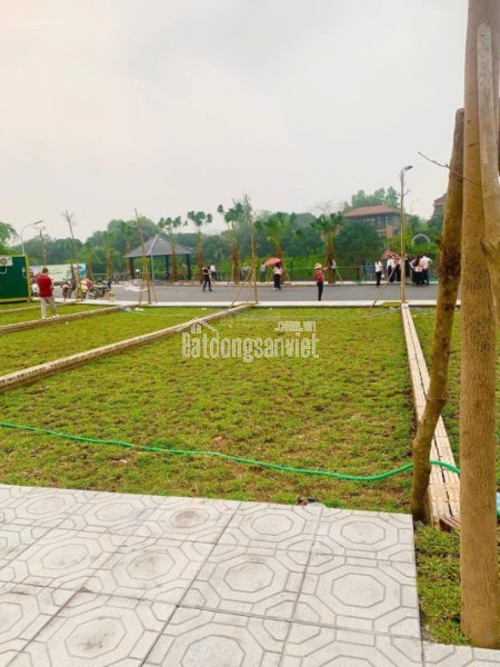 Cần bán 100m hàng F0 xã phú cát Hoà Lạc , cạnh nhà máy in tiền,Đh quốc gia ,Đh FPT giá 2,5tỷ