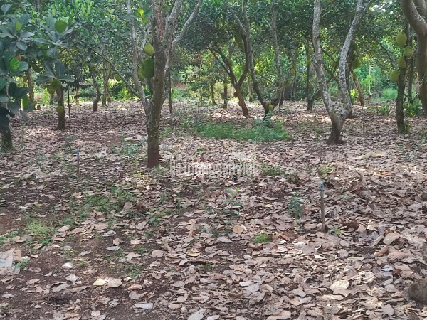 Bán nhà hẻm 140  HT45,P.Hiệp Thành, Quận 12, TP. Hồ Chí Minh