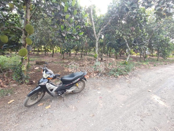 Bán nhà hẻm 140  HT45,P.Hiệp Thành, Quận 12, TP. Hồ Chí Minh