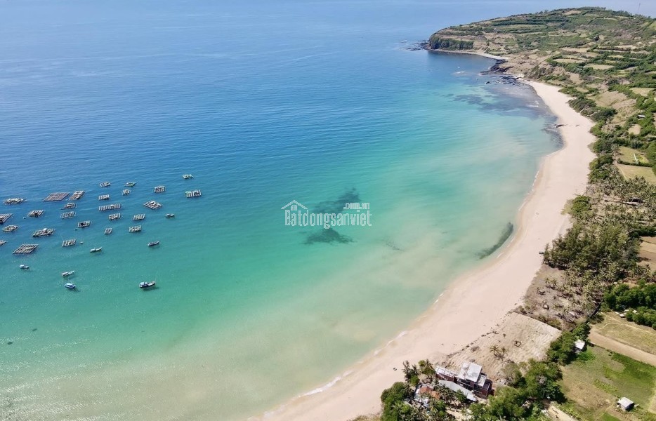 Bán đất mặt biển sát Gành Đá Đĩa 247m² - 100m2 thổ cư, giá 12,1 tỷ