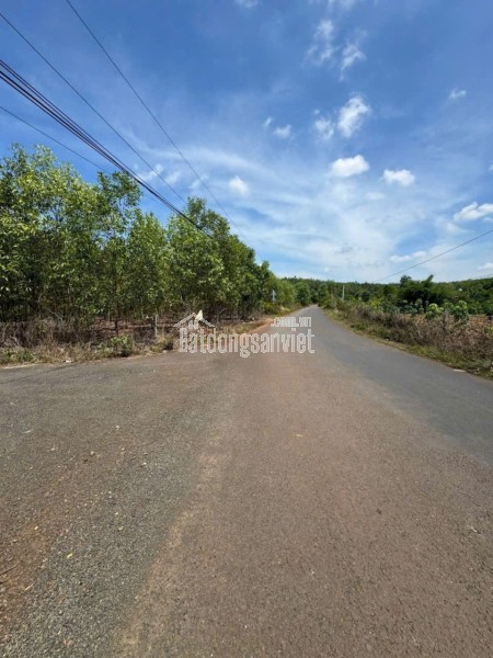 CHÍNH CHỦ BÁN 4000M2 SỔ HỒNG RIÊNG 428t.TRIEU MY2149