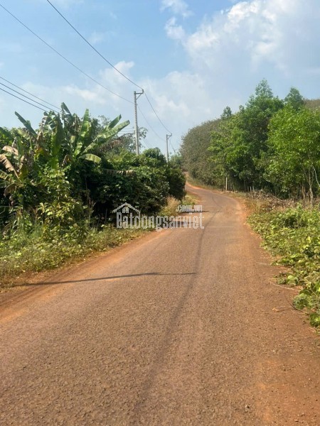 CHÍNH CHỦ BÁN 4000M2 SỔ HỒNG RIÊNG 428t.TRIEU MY2149