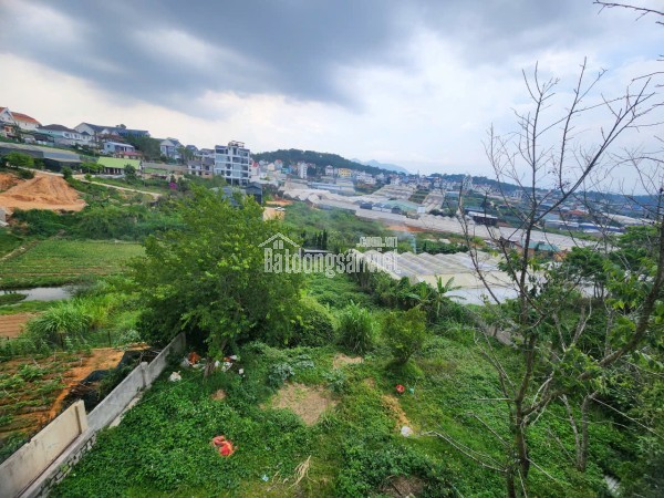CHO THUÊ VILLA SÂN VƯỜN SIÊU RỘNG – PHƯỜNG LÂM VIÊN, ĐÀ LẠT
