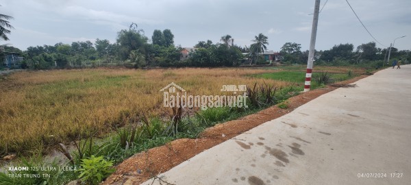 Bán lô đất thổ lúa làm nhà vườn xã Nhựt Tảo giá 3,7 tỷ