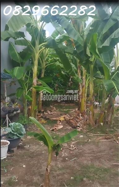Bán Nền thổ cư 77m2 Hẻm Nguyễn Tất Thành, Khóm Tân Thuận Phường Sa Đéc. Sổ Hồng. Giá 1.1 tỷ.
