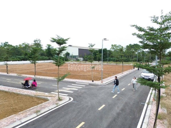 SIÊU PHẨM CỔ ĐÔNG – NHỈNH 3 TỶ CHỜ CHỦ NHÂN
Cô chú anh chị đang tìm đất đẹp để sở hữu hoặc gia