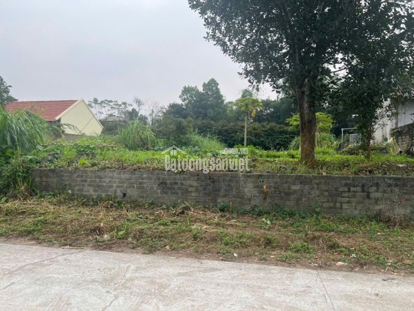nhà nghỉ dường Đồng Lư, Quốc Oai 520m2 view siêu đẹp