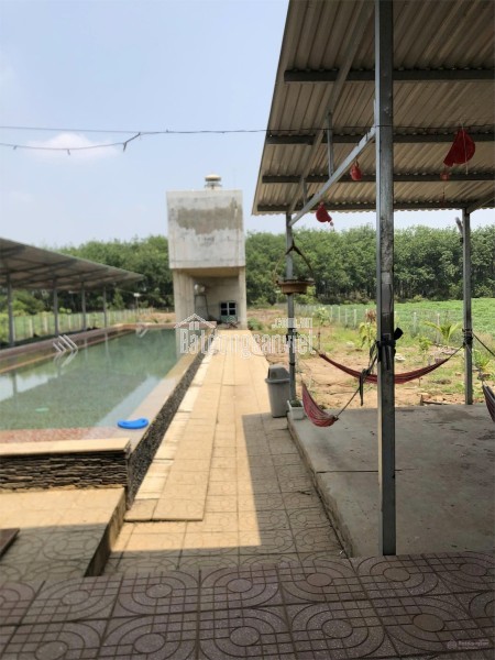 BÁN GẤP ĐẤT CHÍNH CHỦ GIÁ NGỘP TRẢ NỢ & XUỐNG SÀI GÒN Xã Thạnh Bình, Huyện Tân Biên, Tây Ninh