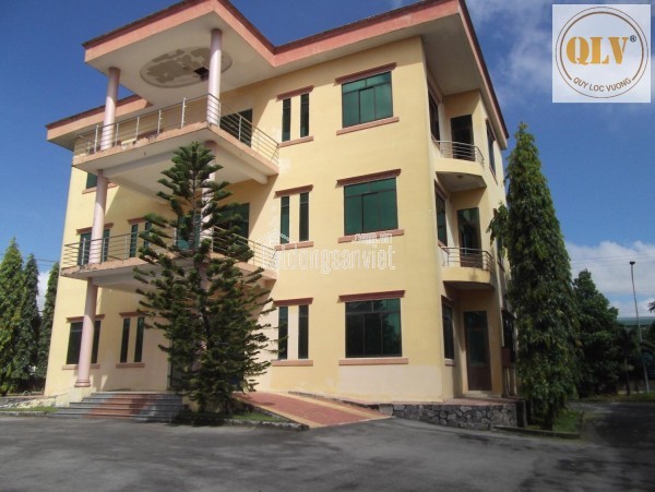 BÁN NHÀ XƯỞNG TẠI VĨNH CỬU, ĐỒNG NAI – GẦN CCN THẠNH PHÚ – 26.561m²