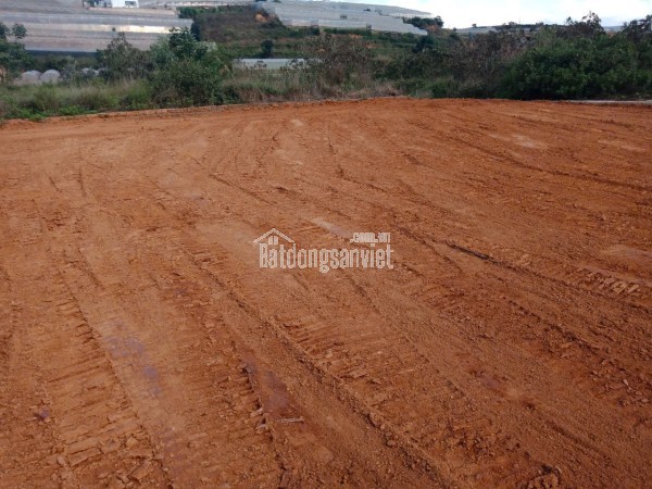 CHÍNH CHỦ BÁN NHÀ TẠI XUÂN THỌ, NAY THUỘC XUÂN TRƯỜNG, TP ĐÀ LẠT