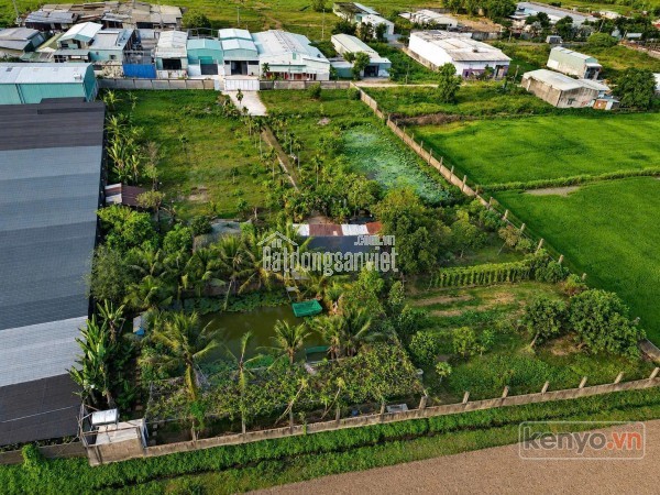 ĐẤT LỚN MẶT TIỀN XUÂN THỚI SƠN – GẦN 6400M² – NGANG 65M CÓ THỔ CƯ
