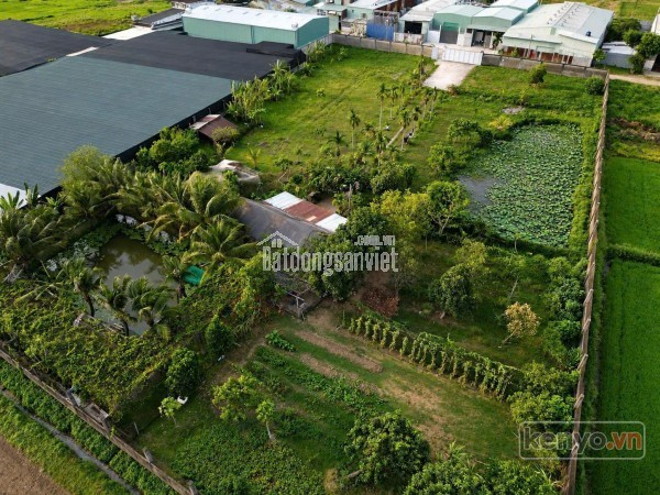 ĐẤT LỚN MẶT TIỀN XUÂN THỚI SƠN – GẦN 6400M² – NGANG 65M CÓ THỔ CƯ