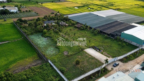 ĐẤT LỚN MẶT TIỀN XUÂN THỚI SƠN – GẦN 6400M² – NGANG 65M CÓ THỔ CƯ