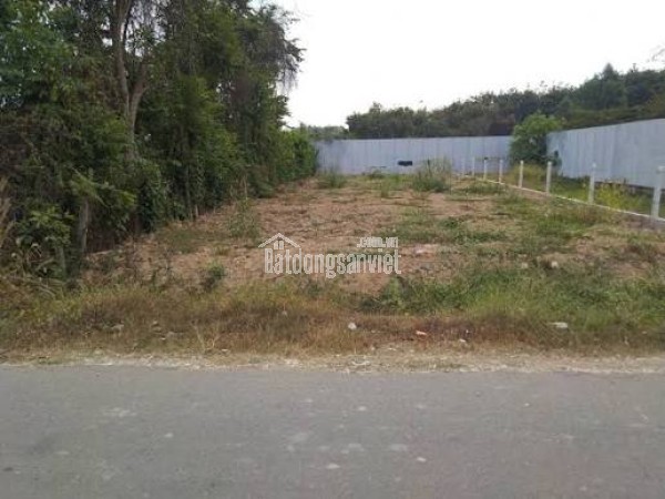 Kẹt tiền bán gấp đất ngay MT đường 8m, Thái Mỹ Củ Chi, 110m giá 1 tỷ thương lượng