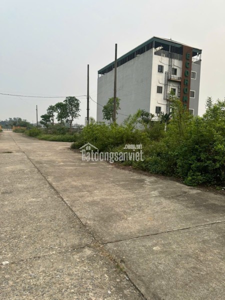 Biệt thự liền kề Sao Biển đầu góc - Vị trí đẹp hiếm có tại Vinhomes Ocean Park 2 - Tiện ích đẳng