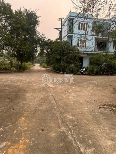Biệt thự liền kề Sao Biển đầu góc - Vị trí đẹp hiếm có tại Vinhomes Ocean Park 2 - Tiện ích đẳng