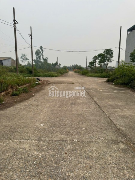 Biệt thự liền kề Sao Biển đầu góc - Vị trí đẹp hiếm có tại Vinhomes Ocean Park 2 - Tiện ích đẳng