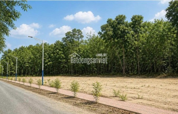 ĐẤT NỀN 330m² – GIÁ CHỈ 195 TRIỆU Tùng