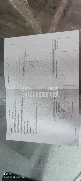 CHÍNH CHỦ CẦN BÁN 2 LÔ ĐẤT – XÃ MỸ HẠNH, TÂY NINH