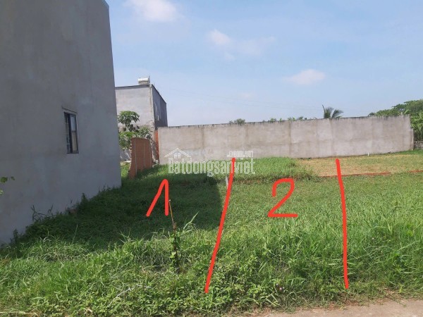 CHÍNH CHỦ CẦN BÁN 2 LÔ ĐẤT – XÃ MỸ HẠNH, TÂY NINH