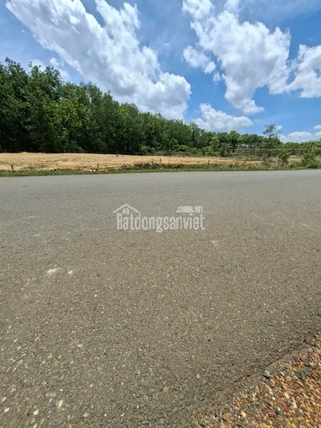 BÁN ĐẤT VƯỜN 3.600m² – GIÁ CHỈ 680 TRIỆU