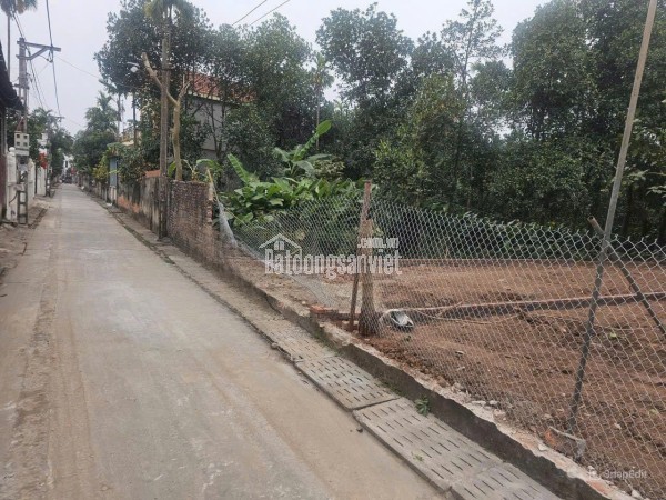 100m F0 siêu đẹp tại Vân Phúc - Tỉnh lộ 417 - Ô tô đỗ cửa - Đón sóng cầu Vân Phúc - Tiềm năng tăng