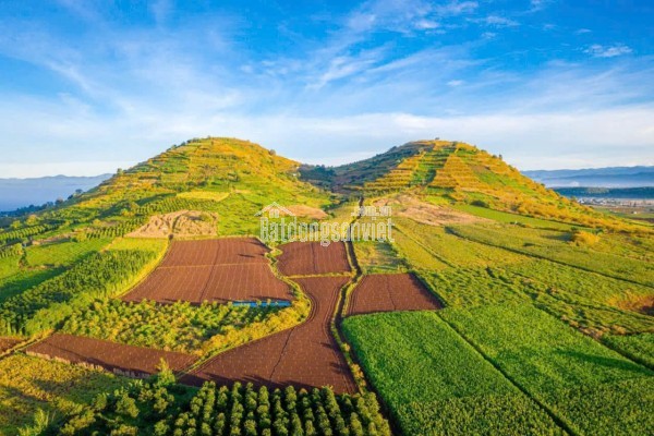 Bán 3500m² đất view đẹp tại dốc Trời, Lâm Hà, Lâm Đồng