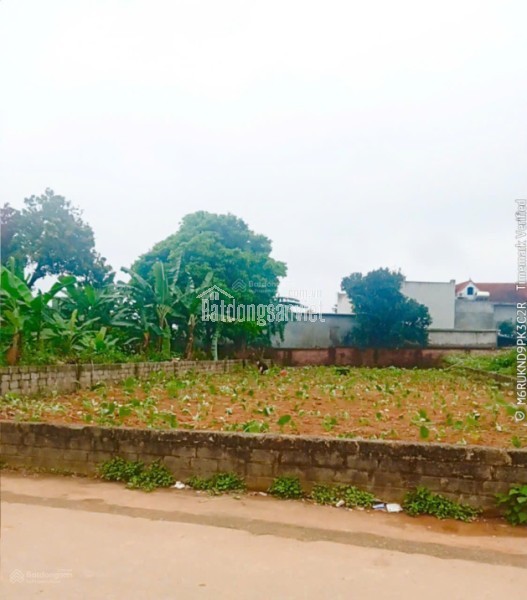 Không thể tin được đất full thổ cư gần Đại Học Bách Khoa 4 tỷ