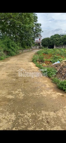 Chào bán nhà 3 tầng mới 100% kiệt ôtô đường Tôn Đản kiệt thông tứ hướng ĐN