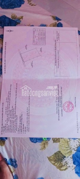 Chào bán nhà 3 tầng mới 100% kiệt ôtô đường Tôn Đản kiệt thông tứ hướng ĐN