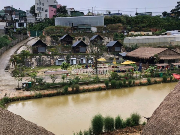 Cho thuê Homestay Dankia phường 7 Đà Lạt 50 triệu/tháng