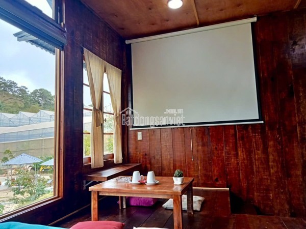 Cho thuê Homestay Dankia phường 7 Đà Lạt 50 triệu/tháng