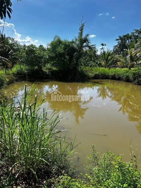 ĐẤT  ĐẸP – GIÁ TỐT  – CHÍNH CHỦ CẦN BÁN GẤP ĐẤT Tại Chợ Quỳnh Ngọc , Xã Ea Na, Đắk Lắk