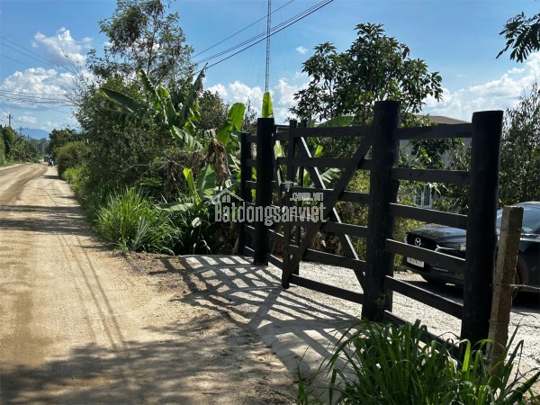 ĐẤT  ĐẸP – GIÁ TỐT  – CHÍNH CHỦ CẦN BÁN GẤP ĐẤT Tại Chợ Quỳnh Ngọc , Xã Ea Na, Đắk Lắk