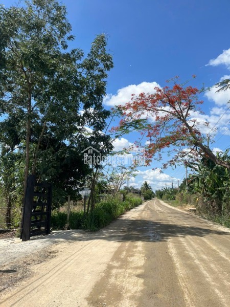 ĐẤT  ĐẸP – GIÁ TỐT  – CHÍNH CHỦ CẦN BÁN GẤP ĐẤT Tại Chợ Quỳnh Ngọc , Xã Ea Na, Đắk Lắk