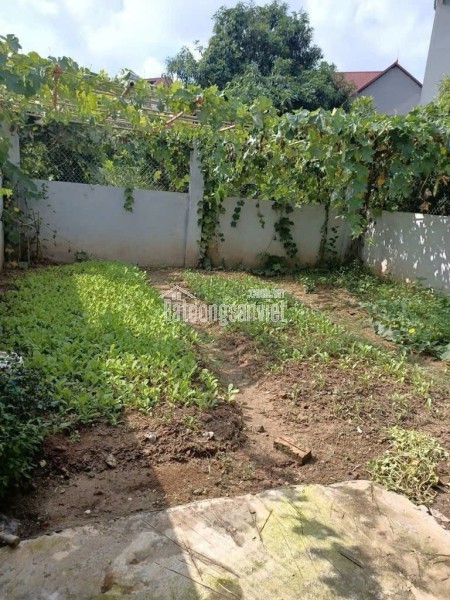 Chính Chủ Gửi Bán Lô Đất Tiềm Năng Đường QL2, Xã Tân Dân, H. Sóc Sơn, Hà Nội - Không Dính Quy