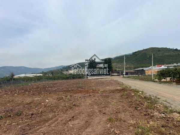 CHÍNH CHỦ Cần Bán Đất Mặt Tiền 6500M2 Chỉ 3,3 TRIỆU/M2 Xã Liên Hiệp, Huyện Đức Trọng, Lâm Đồng