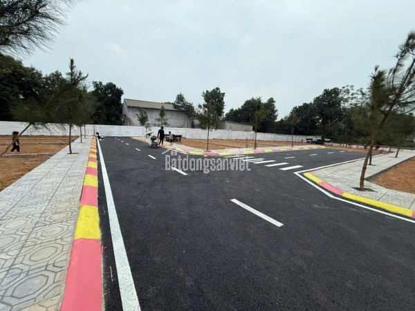 BÁN LÔ HOA HẬU CỔ LIỄN, CỔ ĐÔNG 100M NHỈNH 3TY SÁT TRỤC CHÍNH GẦN ĐHQG HN KHU CNC